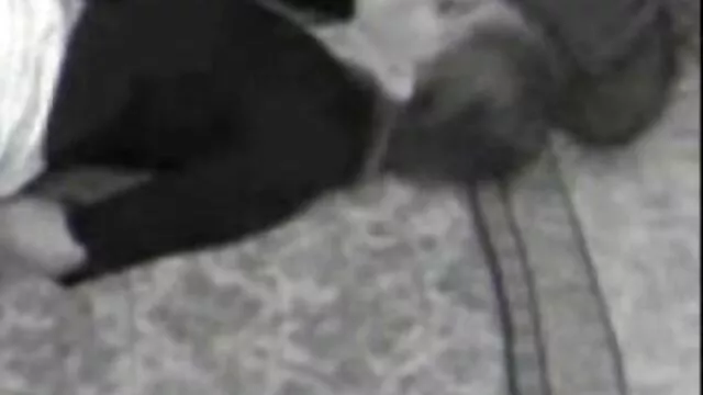 Sexy culo adolescente Bailey Blue le gusta seducir incesto asiaticas xxx